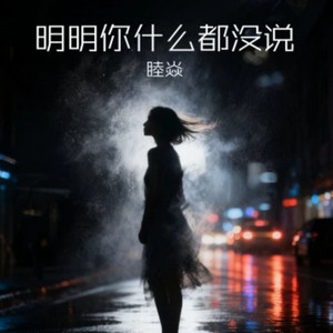 明明你什么都没说