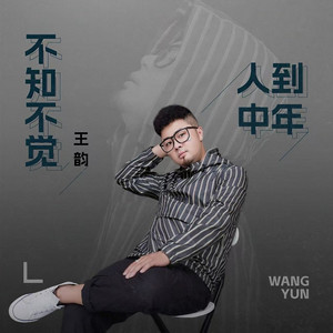 不知不觉人到中年 - DJ九零版伴奏 by 王韵