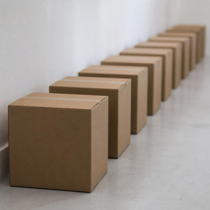 Inventory by Saint Prose