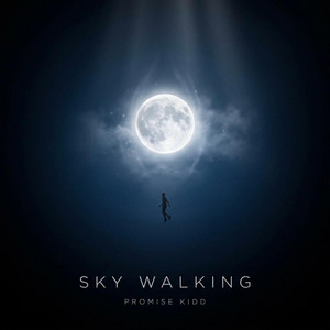 Sky Walking by Promise Kidd