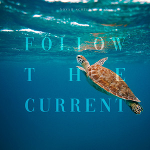 Follow the Current by Novah Scotia