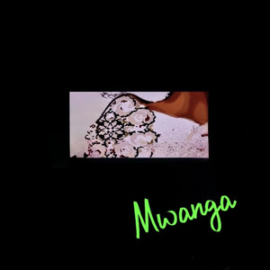 Mwanga (Light of Dreams) by DJ Leeon, DJ Seenzu