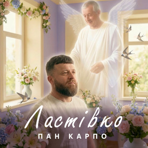 Ластівко