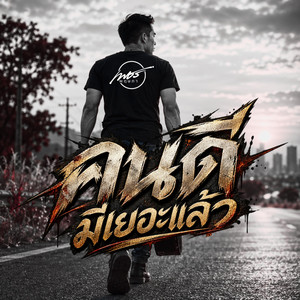คนดีมีเยอะแล้ว by เพชร พฤษภา