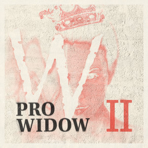 Into The Shadows by Pro Widow