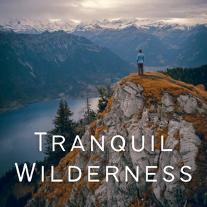 Tranquil Wilderness album