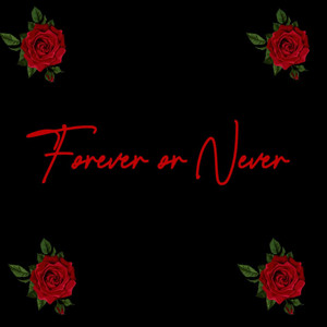 Forever or Never by Borsetta Stivali