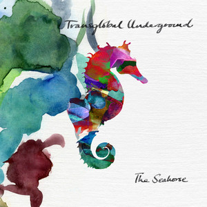 The Seahorse by Transglobal Underground