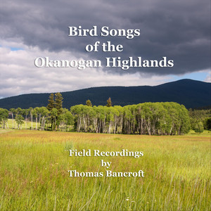 Evening Serenade of Two Swainson's Thrushes
