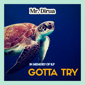 Mr. Dirua — Gotta Try (In Memory of ILP)