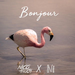 Bonjour by Nico Anuch