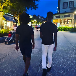 S.H.V.Q. - License (feat. RSENAL)