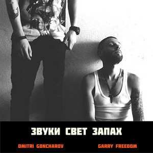 Dmitri Goncharov — Звуки свет запах