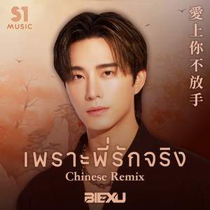 เพราะพี่รักจริง (愛上你不放手) - Chinese Remix by BIEXU