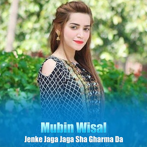 Mubin Wisal - Jenke Jaga Jaga Sha Gharma Da