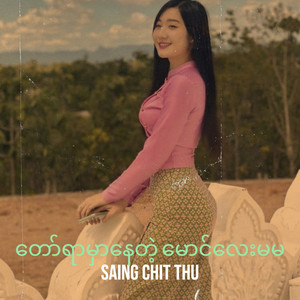 Myanmar Than Sin - တော်ရာမှာနေတဲ့ မောင်လေးမမ