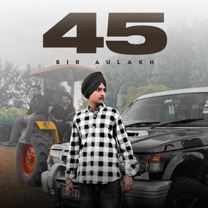 Bir Aulakh - 45 (feat. Partap)