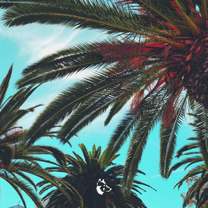 Tundra Beats - Palm Trees