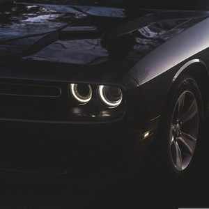 bitchbaby - Car Sport