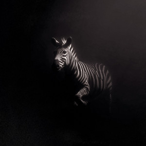 Afterimage by OCCUR