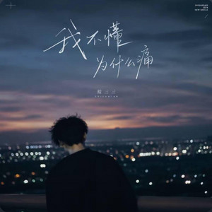 我不懂为什么痛 ｜R&B｜- 拾三三 by KAI川