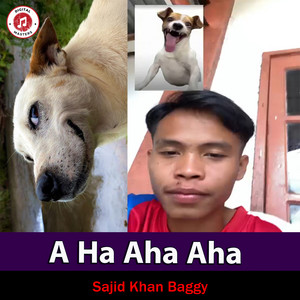 Sajid Khan Baggy - A Ha Aha Aha
