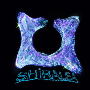 Shiralea