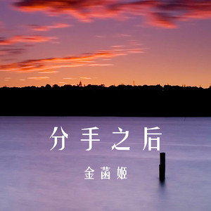 太阳花盛开