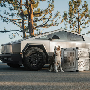 TESLA by bitchbaby
