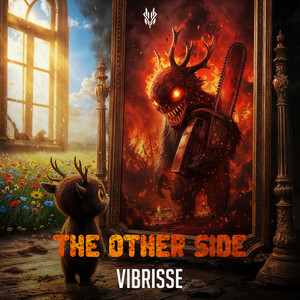 The Other Side by VIBRISSE