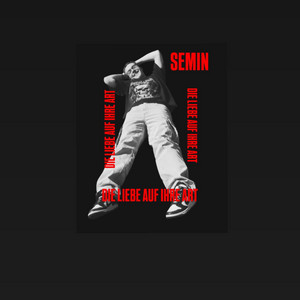 DIE LIEBE AUF IHRE ART by Semin