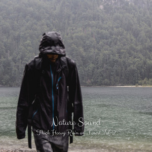Nature Sound: Thick Heavy Rain on Forest Vol. 2 album