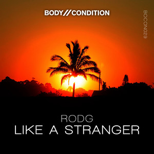 Like A Stranger - Original Mix by Rodg