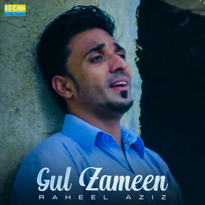 Raheel Aziz - Watara Char To