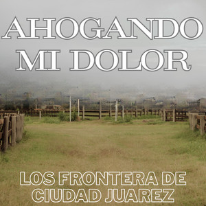 Ahogando Mi Dolor by Los Frontera De Ciudad Juarez