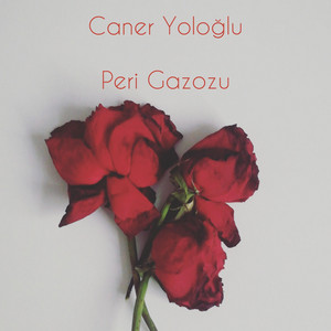 Peri Gazozu