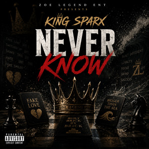 Never Know by King Sparx