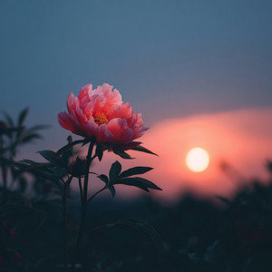 A Little Bit Of Hope by Maofdi Music