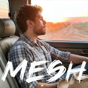 MESH — Till We Pass Away (2026)