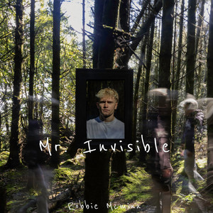 Mr. Invisible by Robbie McMinn