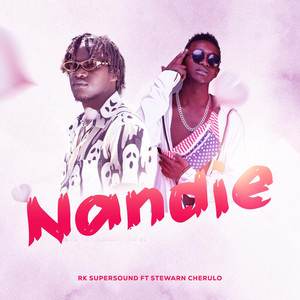 NANDÎE (feat. MULTI STEWARN)