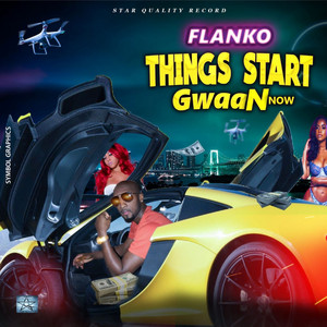 Flanko cover