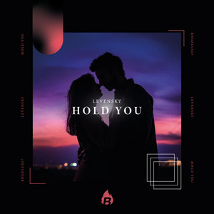 Hold You by Levensky