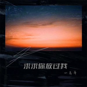 求求你放过我 - DJ彭锐版 by 小高哥