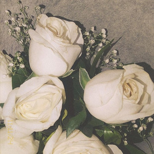 Untitled Song for Her by Dead Roses