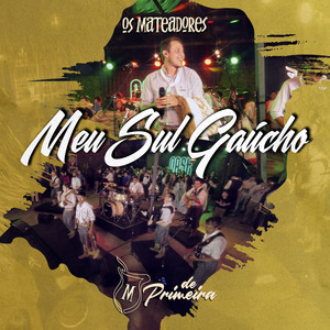Meu Sul Gaúcho (De Primeira) [Ao Vivo]