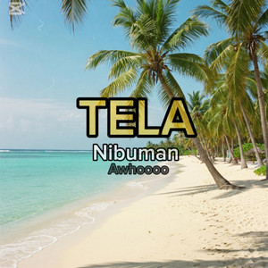 Tela
