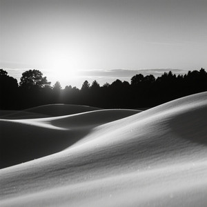 REMEMBERING_BEAUTY by JERI WOLV