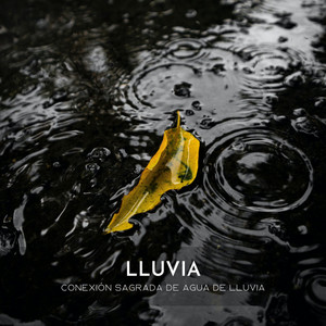 Lluvia: Conexión Sagrada De Agua De Lluvia album