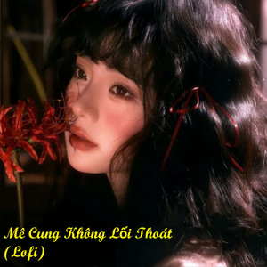 Em Bé Mê Bolero & MT Entertainment - Mê Cung Không Lối Thoát (Lofi)